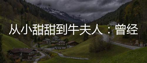从小甜甜到牛夫人：曾经家喻户晓的两款车型宣告停产