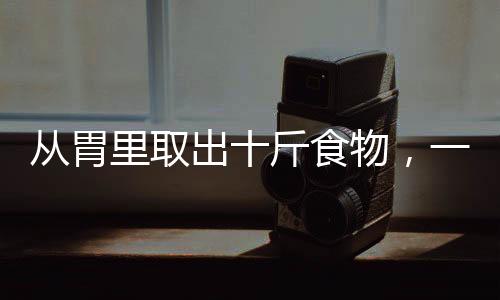 从胃里取出十斤食物，一次惊人的医疗案例