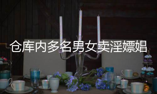 仓库内多名男女卖淫嫖娼被警方依法查处，揭露丑恶背后的惊人内幕（含二三深度解析）