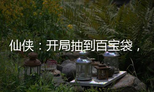 仙侠：开局抽到百宝袋，我无敌了
