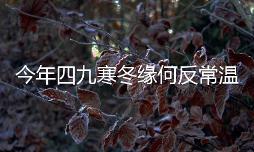 今年四九寒冬缘何反常温暖？——气候变迁下的独特暖冬现象深度解析