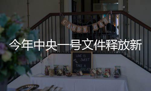 今年中央一号文件释放新信号，乡村振兴战略、三农工作等多领域的新展望