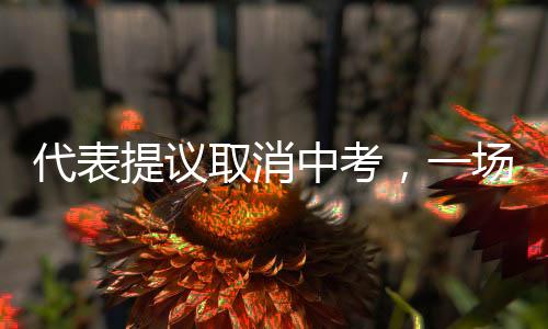 代表提议取消中考，一场关于教育改革的深度探讨