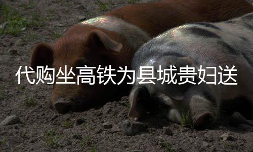 代购坐高铁为县城贵妇送上万元蛋糕，跨越距离的美食情缘