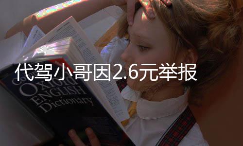 代驾小哥因2.6元举报KTV有偿陪侍事件揭秘