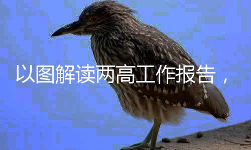 以图解读两高工作报告，深入解析、梳理重点、展望未来