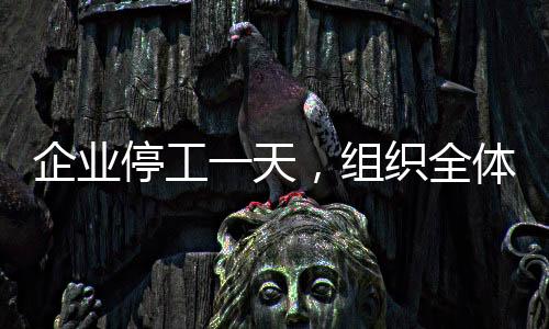 企业停工一天，组织全体员工观看电影哪吒之魔童降世