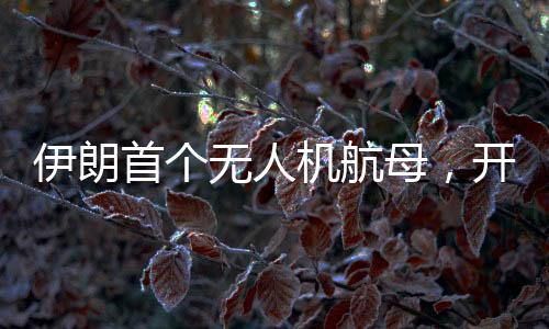 伊朗首个无人机航母，开启新时代军事科技新篇章