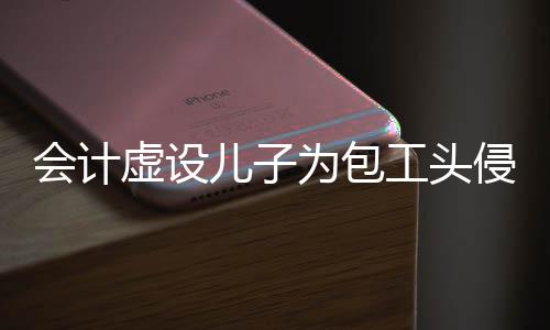 会计虚设儿子为包工头侵占公款，揭开一起2200万巨额财务欺诈案