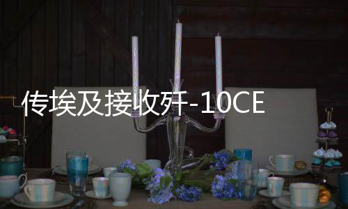 传埃及接收歼-10CE及其对国际关系的影响分析