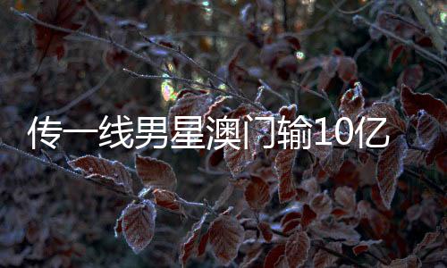 传一线男星澳门输10亿，微博CEO回应，真相待揭晓