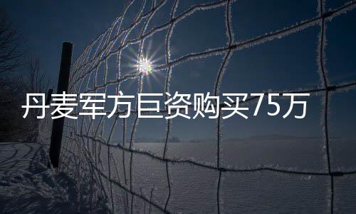 丹麦军方巨资购买75万双毛袜应对威胁，战略装备升级应对未来挑战