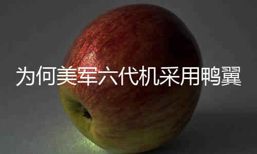 为何美军六代机采用鸭翼设计并不被看好