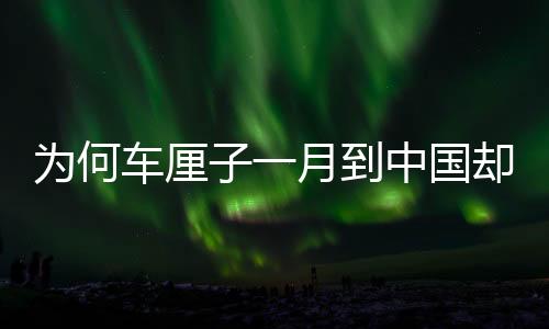 为何车厘子一月到中国却不腐烂？揭秘跨境物流保鲜技术