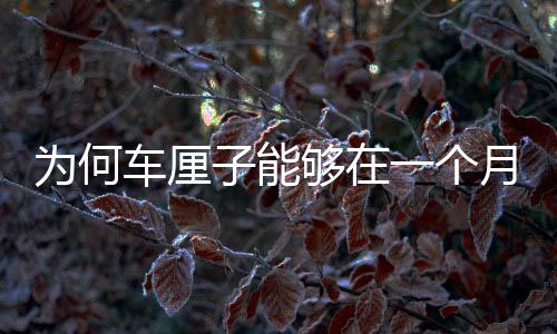 为何车厘子能够在一个月内跨越万里到中国而不腐烂？解密背后的故事