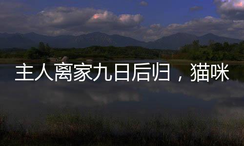 主人离家九日后归，猫咪疏忽水淹厕所，产生高额水费令人惊讶