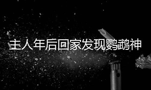 主人年后回家发现鹦鹉神奇开笼拆家——一场人与宠物的奇妙故事