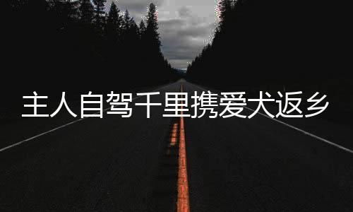 主人自驾千里携爱犬返乡，跨越万里的旅程见证情感深长