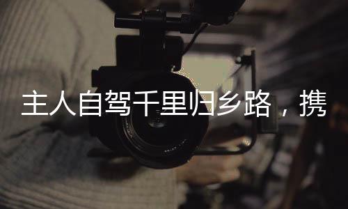 主人自驾千里归乡路，携犬共度返乡之旅