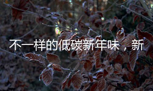 不一样的低碳新年味，新型环保生活方式的崛起
