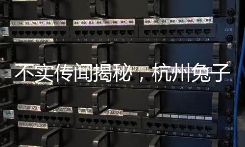不实传闻揭秘，杭州兔子警官岗位上被撞事件