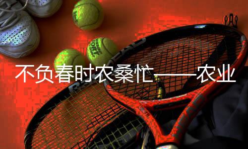 不负春时农桑忙——农业生产的春天盛宴