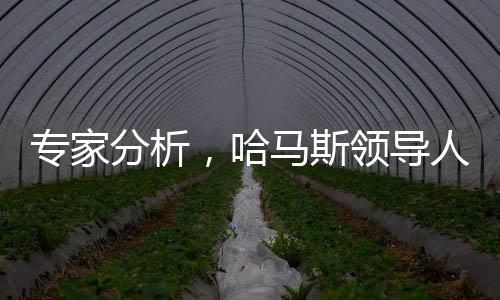 专家分析，哈马斯领导人面临死亡接力赛
