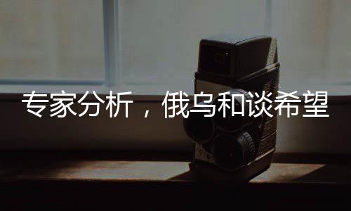 专家分析，俄乌和谈希望依然渺茫