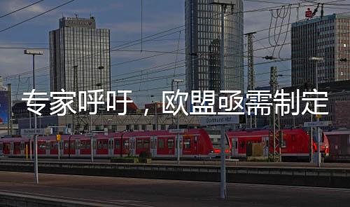 专家呼吁，欧盟亟需制定独立外交政策