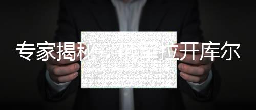 专家揭秘，俄军拉开库尔斯克大反攻序幕