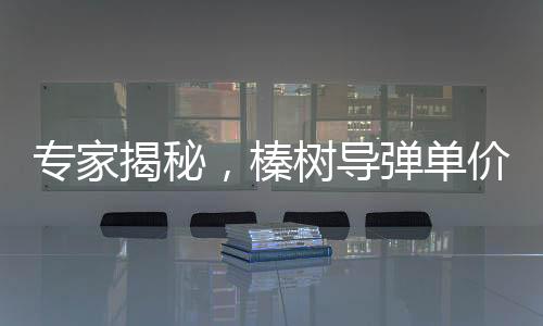专家揭秘，榛树导弹单价或超5000万美元，引发国际关注