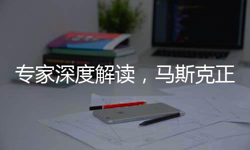 专家深度解读，马斯克正在颠覆欧美政治体系