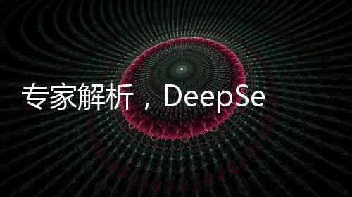 专家解析，DeepSeek项目的成功究竟是谁的胜利？