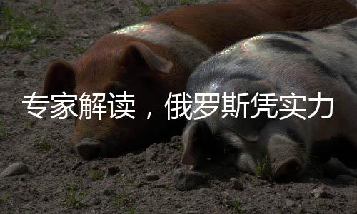 专家解读，俄罗斯凭实力推动美俄关系正常化