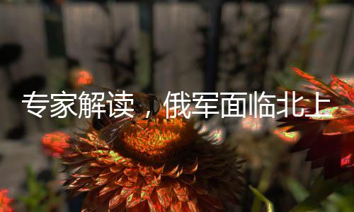 专家解读，俄军面临北上西进战略抉择
