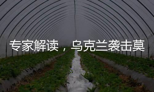 专家解读，乌克兰袭击莫斯科背后的深层动机——寻求美国援助