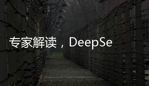 专家解读，DeepSeek无法跻身北大考古专业