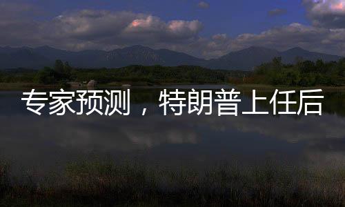 专家预测，特朗普上任后将遭遇多重阻力