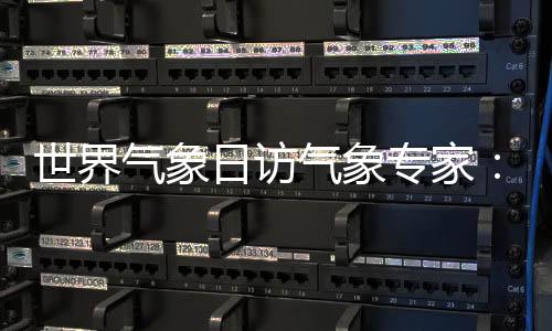 世界气象日访气象专家：AI成为天气预报好帮手