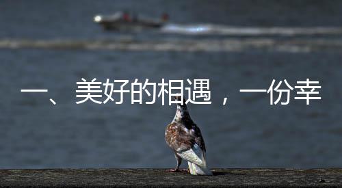 一、美好的相遇，一份幸福的联姻——儿媳与对联的故事启幕
