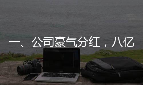 一、公司豪气分红，八亿奖金花落谁家？