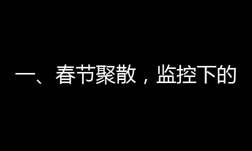 一、春节聚散，监控下的中国人过年场景