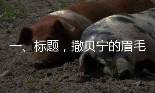 一、标题，撒贝宁的眉毛，焦点之下的艺术之美