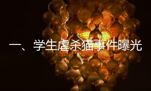 一、学生虐杀猫事件曝光，引发社会广泛关注