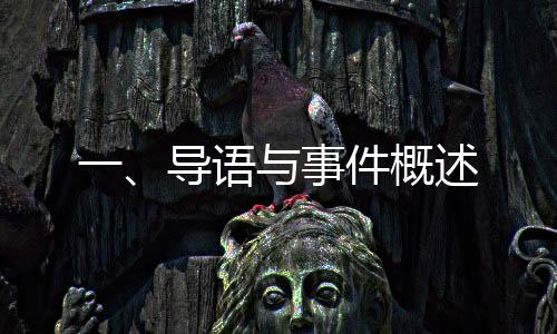 一、导语与事件概述