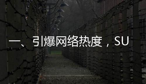 一、引爆网络热度，SU7 Ultra车主交付视频席卷全网