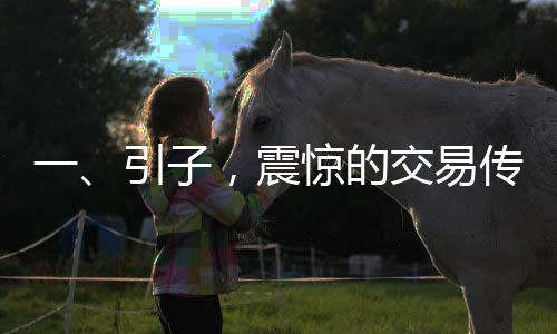 一、引子，震惊的交易传闻
