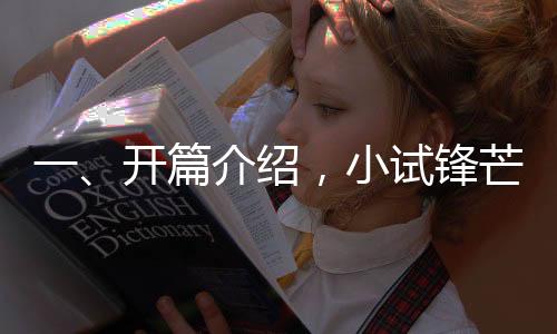 一、开篇介绍，小试锋芒，迈向汽车行业新纪元