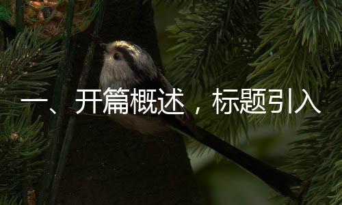 一、开篇概述，标题引入时代之新曲