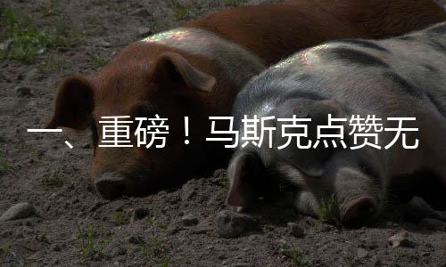一、重磅！马斯克点赞无锡拈花湾迎新年视频